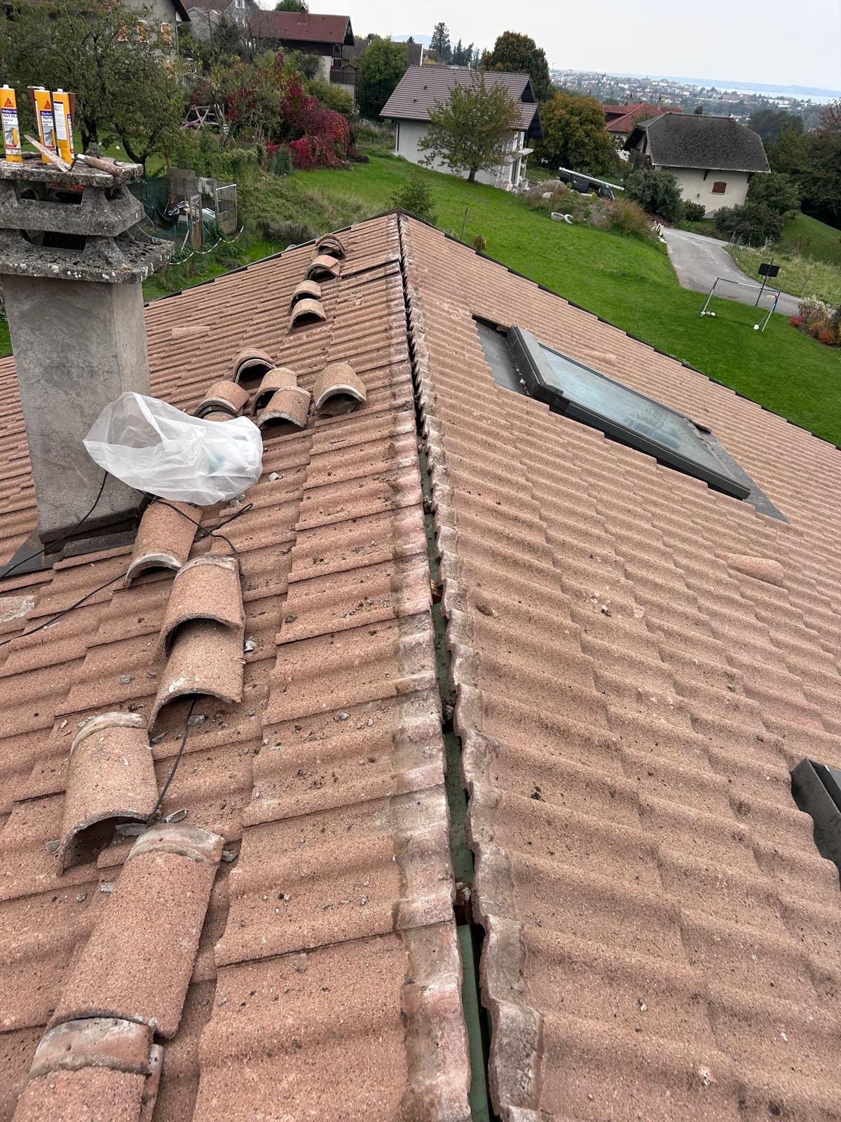 Travaux de faîtage à Publier